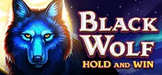 Black Wolf