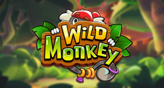 Wild Monkey
