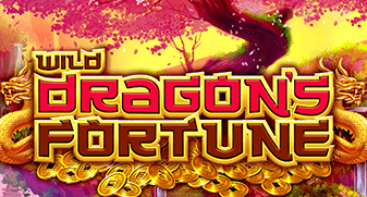 Wild Dragon’s Fortune